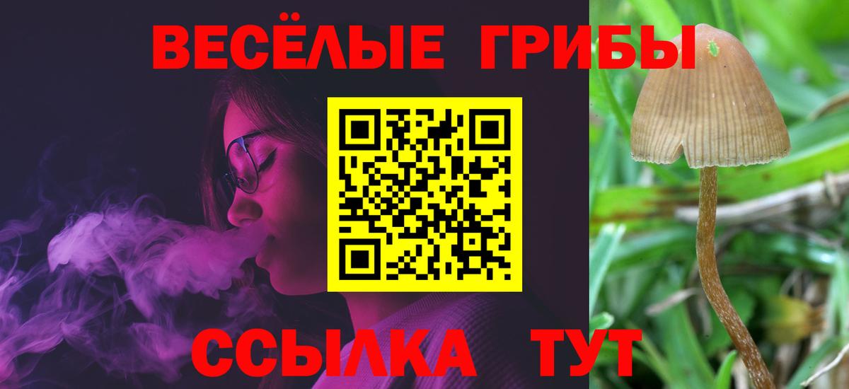 Псилоцибиновые грибы ЛСД Новотроицк