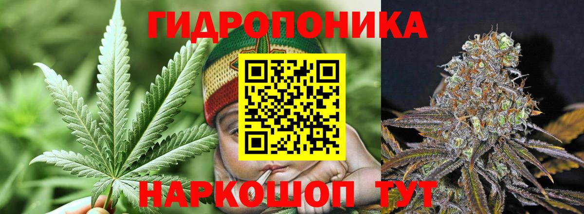 Бошки Шишки MAZAR Новотроицк